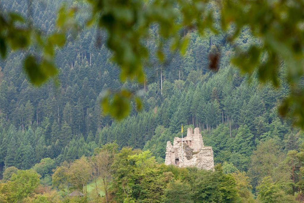 Hotel Winterhaldenhof Schenkenzell Dış mekan fotoğraf