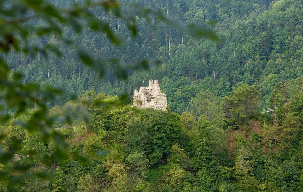 Hotel Winterhaldenhof Schenkenzell Dış mekan fotoğraf